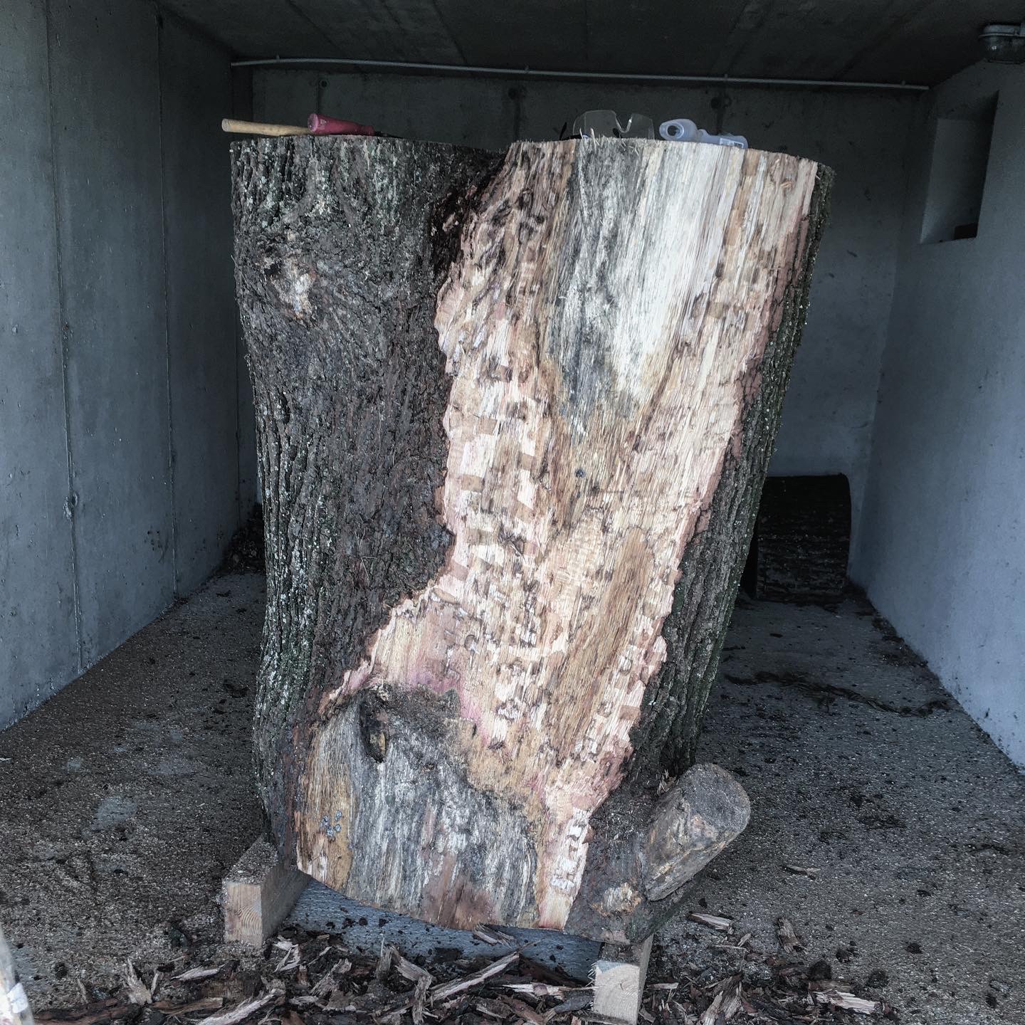 E15FB2ED-3A70-44D6-92AC-23FE0CACA994